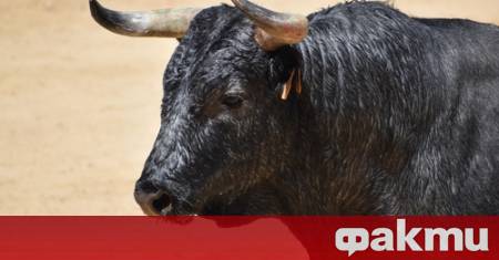 Мъж на 72 години е загинал след като е бил