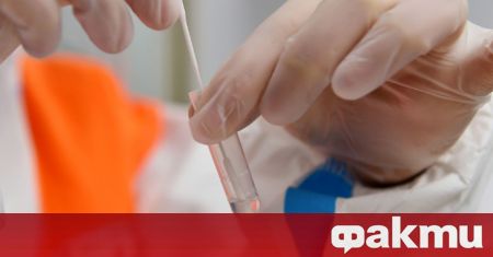 1 720 са новите случаи на коронавирус в България за