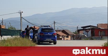 Полицаи разследват убийство на 350 килограмово теле в монтанското село Замфирово
