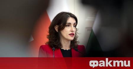 Грузинската външна министърка Мака Бочоришвили заяви след среща в Истанбул