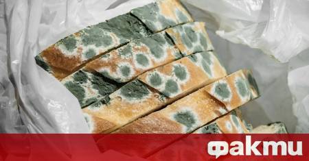 Хлябът е един от най често използваните и купувани хранителни продукти