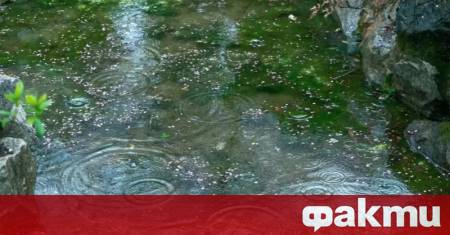 Температурите ще останат почти без промяна Минималните ще бъдат между