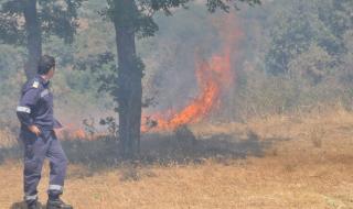 Три пожара горяха в Хасковско