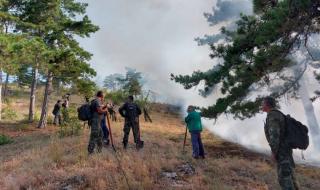 Големи горски пожари бушуват из Хасковско