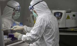 Заразените с коронавирус в света вече са над 4 милиона