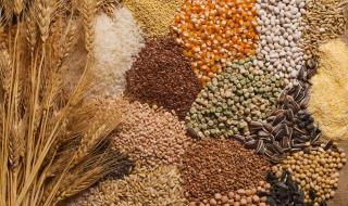 Посочиха опасностите от популярна зърнена храна