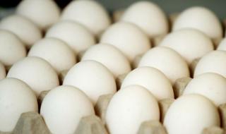 В Германия хванаха заразени с фипронил яйца от Холандия