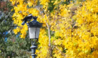 Today's weather, forecast for Thursday, October 24: Northeast wind slightly lowers daytime temperatures 