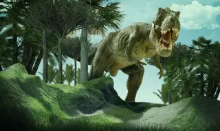 Тиранозавър, погълнал две бебета динозаври, разкри как се е хранил изчезналият вид