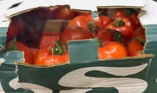 Митничари на пункт "Лесово" спряха недекларирани 16 тона зеленчуци