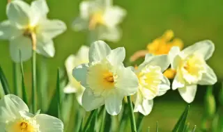 Weather today, forecast for Sunday, April 26: Remains sunny, but the wind is increasing 