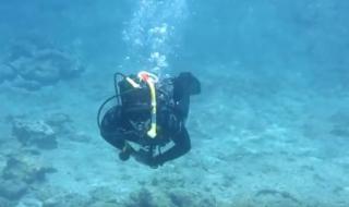 Български водолаз се удави на Халкидики