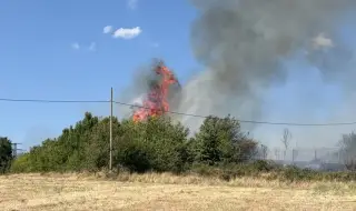 Овладяха големите пожари в страната