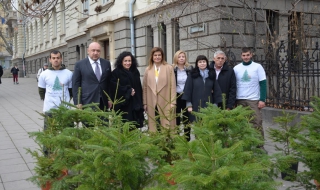 Удължават кампания „Купи жива елхичка, помогни на дете!”