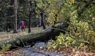 Няма пострадали български граждани след страшната буря в Чехия