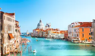 Ten people were injured when a large tree fell in Venice 