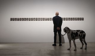 Откриха специална изложба за кучета в мексикански музей (СНИМКИ)