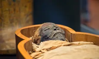 Италианец се представи за майка си в паспортната служба, откриха мумията й в дома му