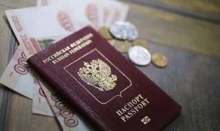 Германия призна руските паспорти на живущите в Източна Украйна