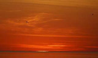 Проф. Рачев: Лятото ще продължи до ...