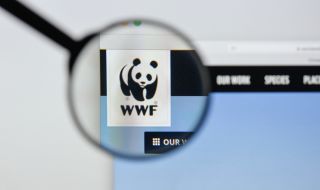 Русия обяви WWF за нежелана организация в страната