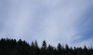 Седмицата започва с облаци и дъжд