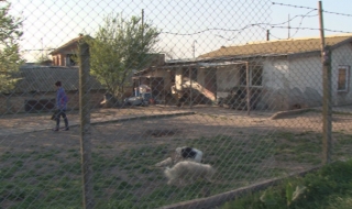 Нов случай на малтретирано куче