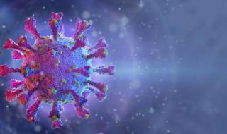 Пулмолог разкри как да различим летните вируси от COVID-19