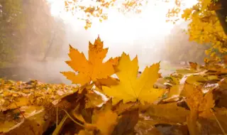 Времето днес, прогноза за събота, 1 ноември: Слънчево, разкъсана облачност и малко по-топло