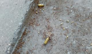 13-годишно дете се простреля с газов пистолет в Монтана