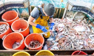 Ново 20! Китай започна тестване на риби за COVID