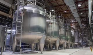 38 тона кашкавал за държавния резерв липсват от мандрата в Елена