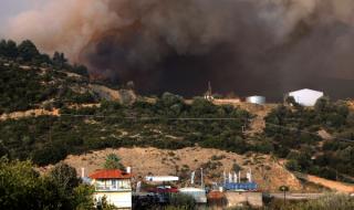 Голям пожар в Халкидики - Юни 2019