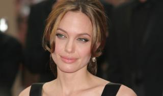 Новата любов на Анджелина Джоли е...