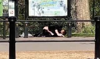 Младежи се отдадоха на бурни ласки на метри от Бъкингамския дворец