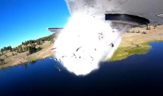 Заваляха риби от небето – буквално! (ВИДЕО)