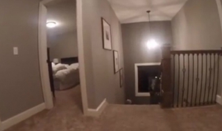 Да поиграем на криеница?