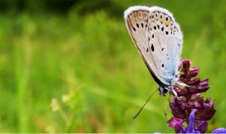 Остава слънчево и горещо