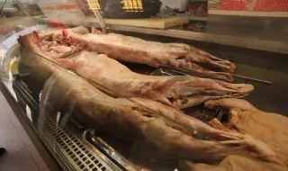 БАБХ издирва 800 заклани агнета