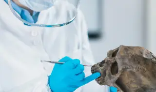 Учени създадоха реконструкция на лицето на неандерталска жена, живяла преди 75 000 години