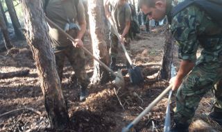 Военнослужещи от Българската армия в помощ на населението