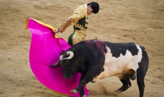 Матадор загина от рогата на бик на арената в Испания (видео)