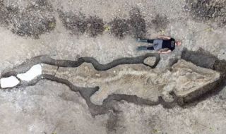 Откриха огромен скелет на праисторическо морско чудовище (СНИМКИ)