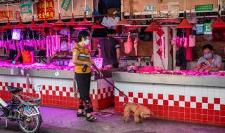 14 случая на зараза с коронавирус в Китай, единият е в Ухан