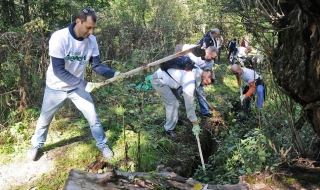 16 населени места в инициативата „Моят зелен град“