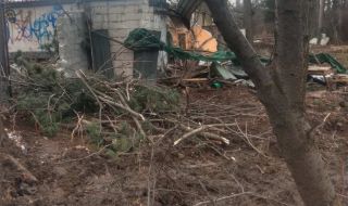 Прокуратурата: Започваме проверка на сечта в Борисовата градина 