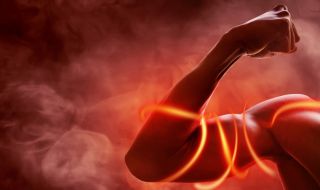 10 удивителни факта за мускулите, които може би не сте чували