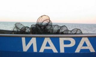 Задържаните от ИАРА искали по 1000 лв. подкуп, за да си "затворят очите" за улов на калкан