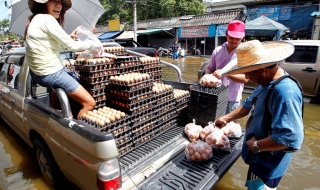 Пиле и яйца за добра памет