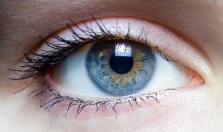 Как да запазим очите си здрави?